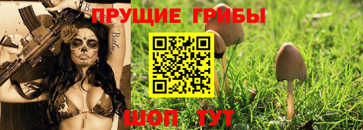 Псилоцибиновые грибы GOLDEN TEACHER Клин